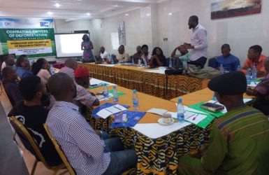 Read more about the article We the People Holds Workshop to Validate Research Findings, Express Concern over  Deforestation and Climate Impacts