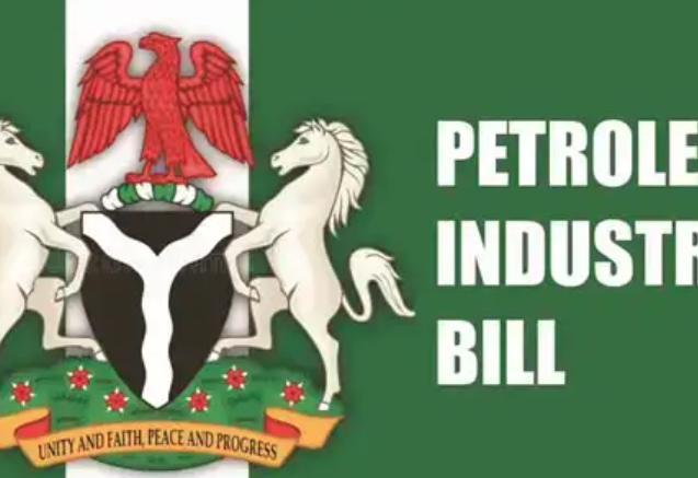 Read more about the article CSOs, communities sue NASS, FG over PIA