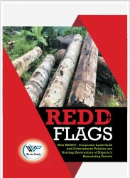 Read more about the article HOW REDD+, CORPORATE LAND GRAB AND GOVERNMENT POLICIES ARE DRIVING THE DESTRUCTION OF NIGERIA’S REMAINING FOREST