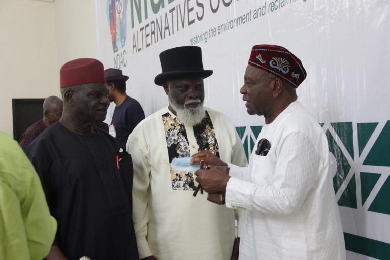 Climate Change and Environmental Remediation, Top Discussions at Niger Delta Convergence Hosted by HOMEF and We the People