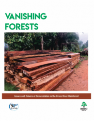 Read more about the article Vanishing Forests: Issues and Drivers of Deforestation in the Cross River Rainforest