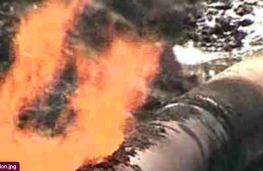 Read more about the article Environmental Groups Frowns At Reopening of Extraction In N’Delta