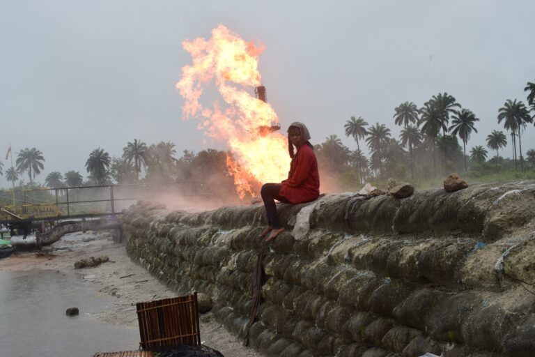 Don’t Let Shell, ExxonMobil, Eni-Agip, Chevron & Total Leave Without Cleaning Up the Niger Delta.