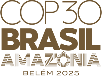 Read more about the article COP30: Time is Running Out
